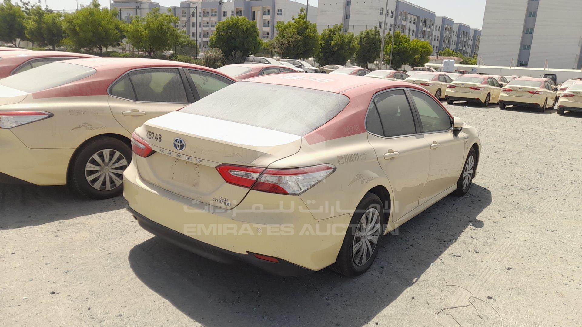 2019 TOYOTA CAMRY VIN: JTNB29HK5K3042173