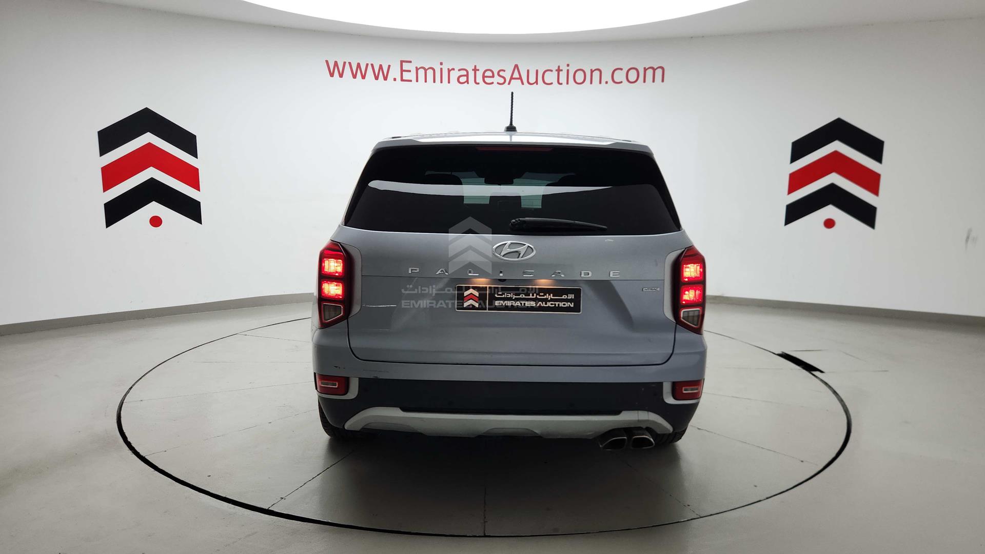2020 HYUNDAI PALISADE VIN: KM8R1DHE7LU030374