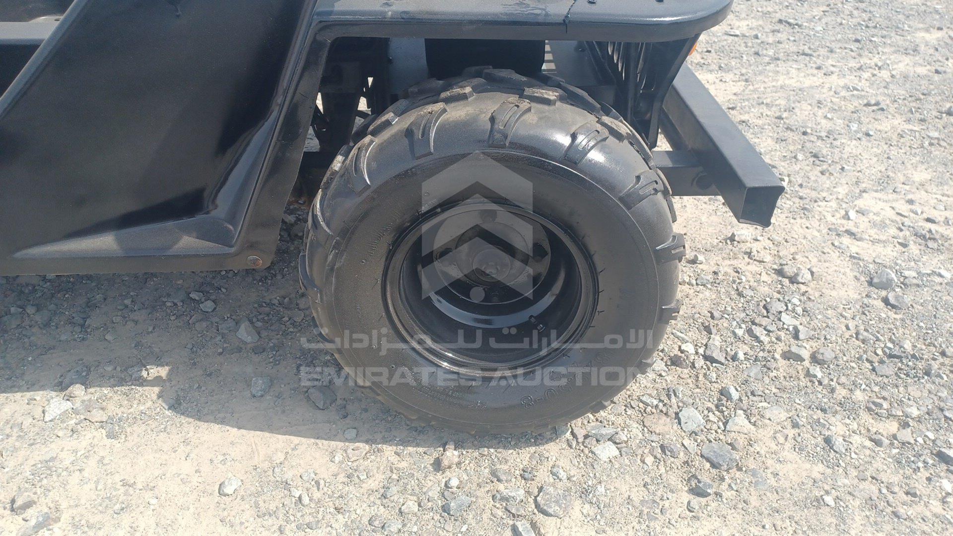 0 BUGGY --- VIN: ZB8304563CA251