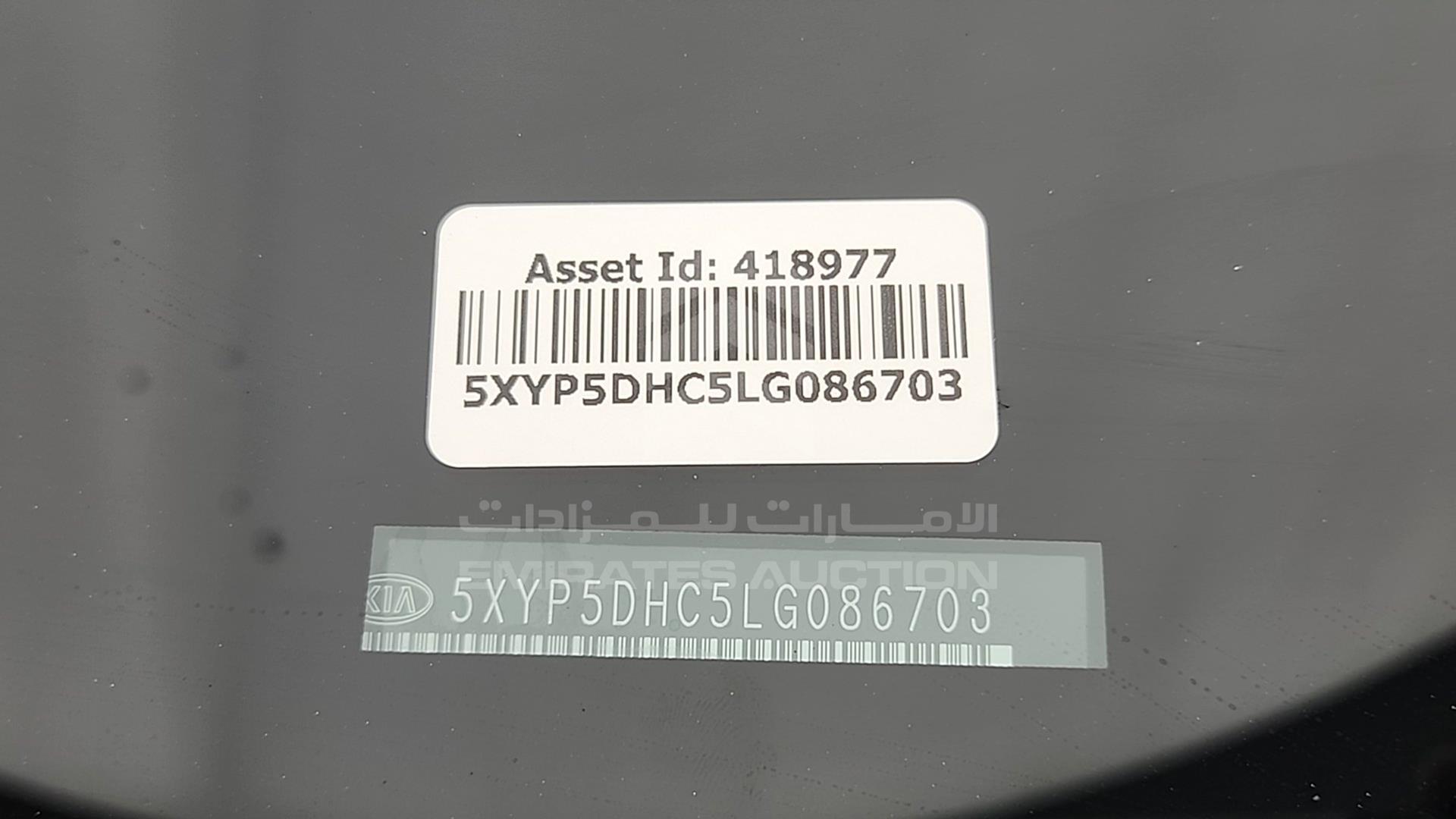 2020 KIA TELLURIDE VIN: 5XYP5DHC5LG086703