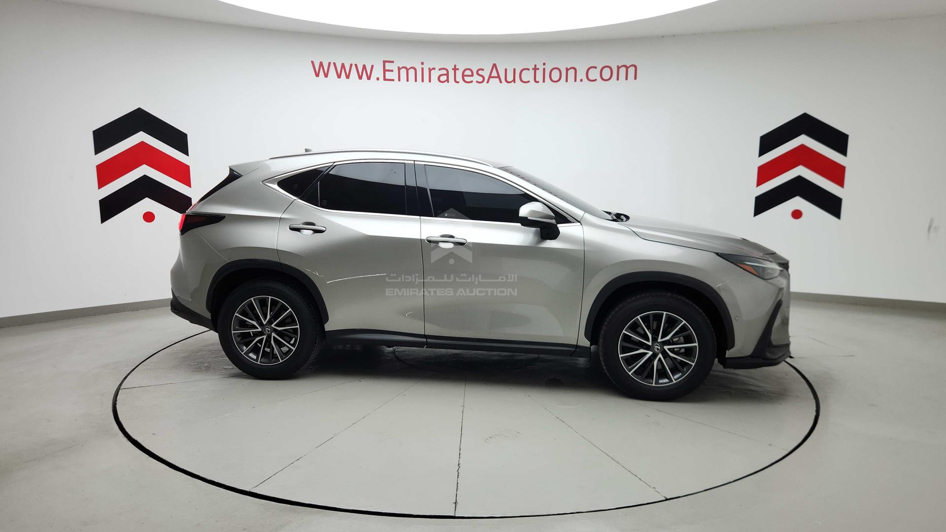 2023 LEXUS NX200T VIN: JTJCFBAZ602011042