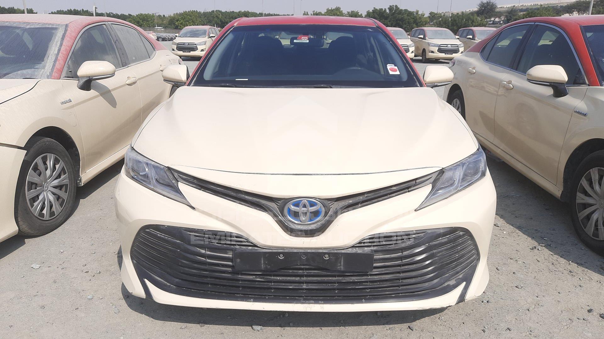 2019 TOYOTA CAMRY VIN: JTNB29HK8K3015209