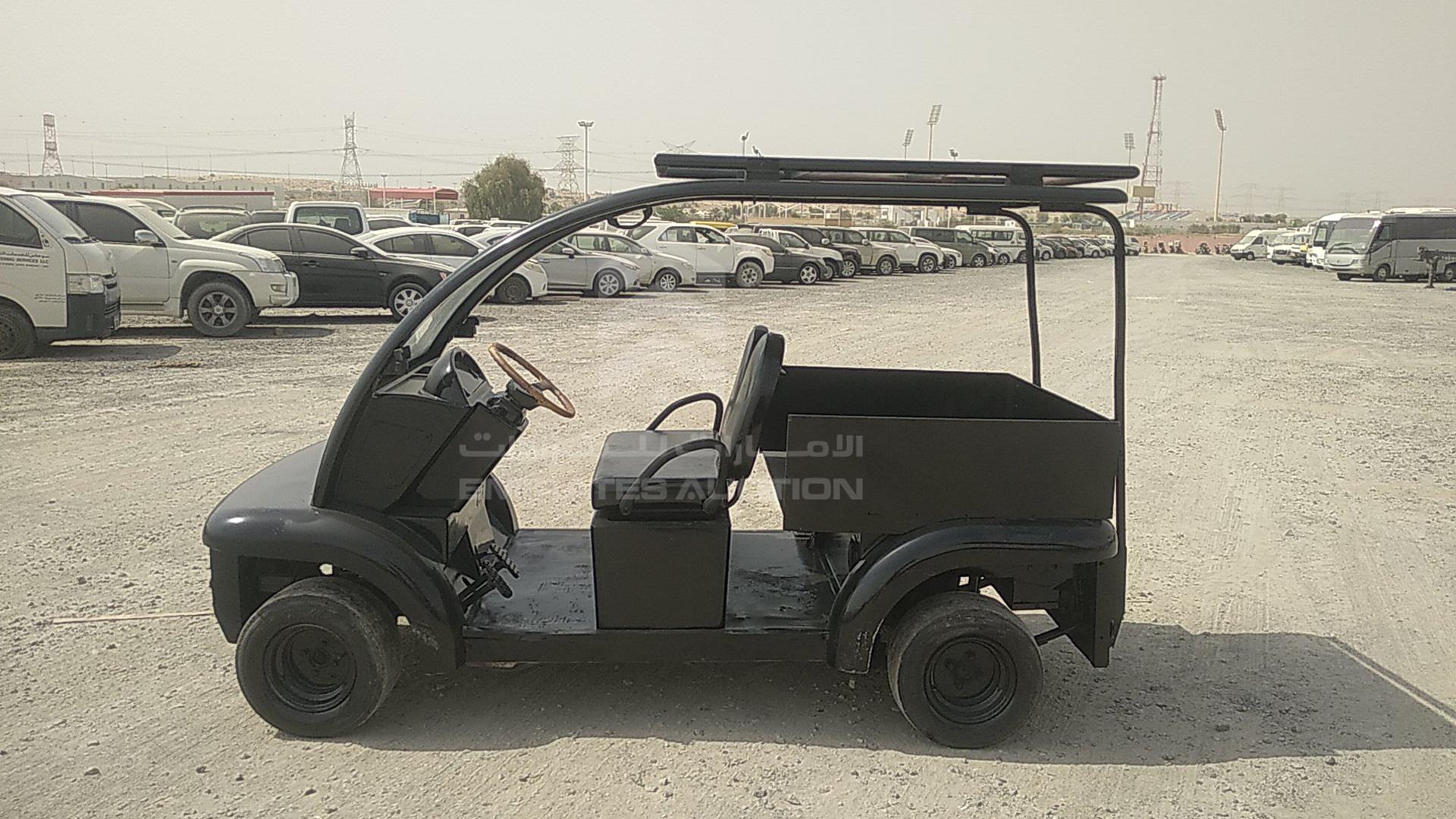 0 GOLF CART ELECTRIC VIN: L4F6552K170030074