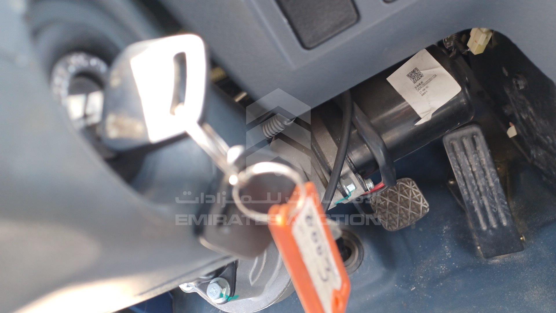 2019 KAMA TRUCK VIN: LWU2DM1C8KKM00003