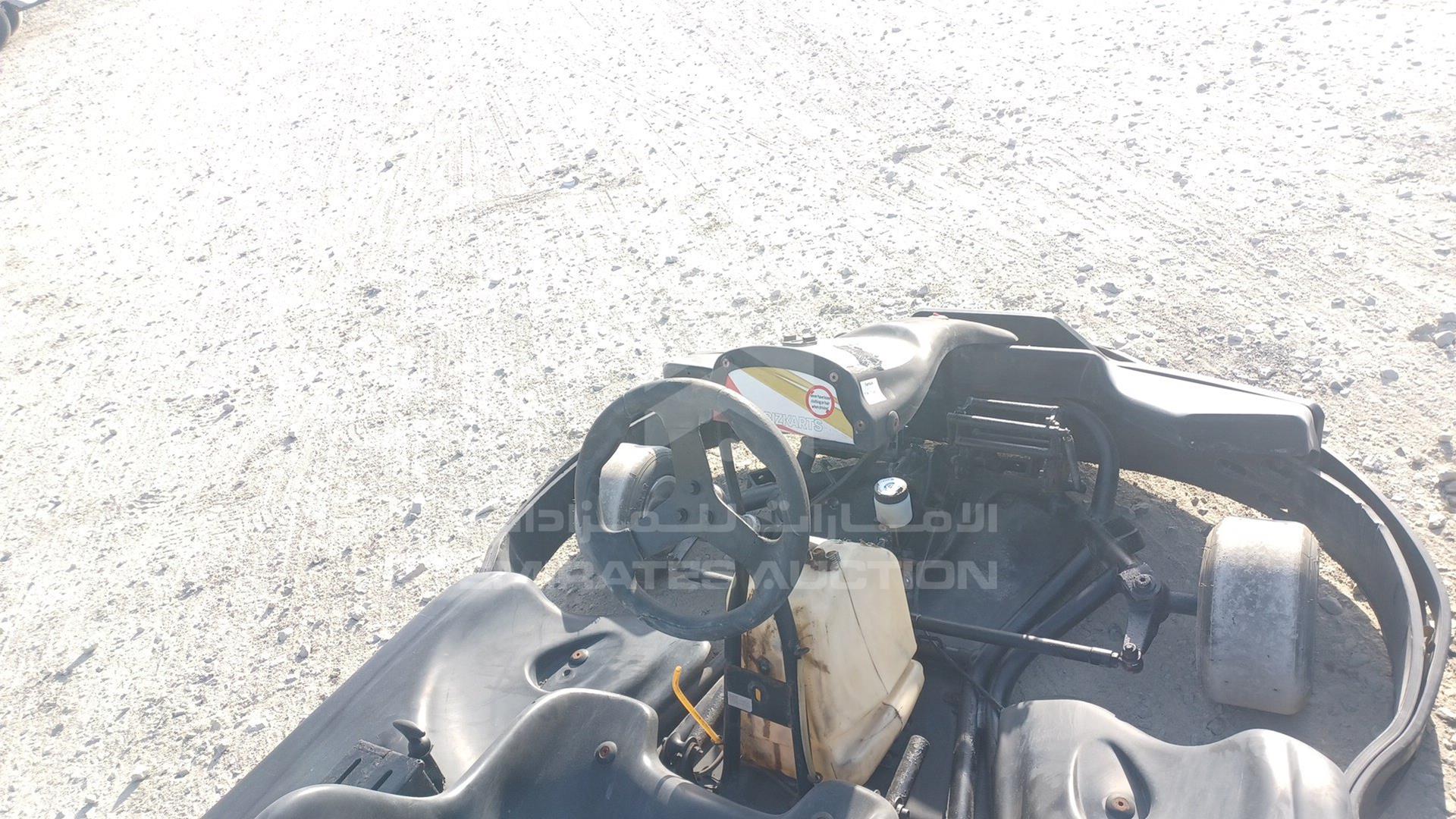 0 BUGGY --- VIN: 1130172
