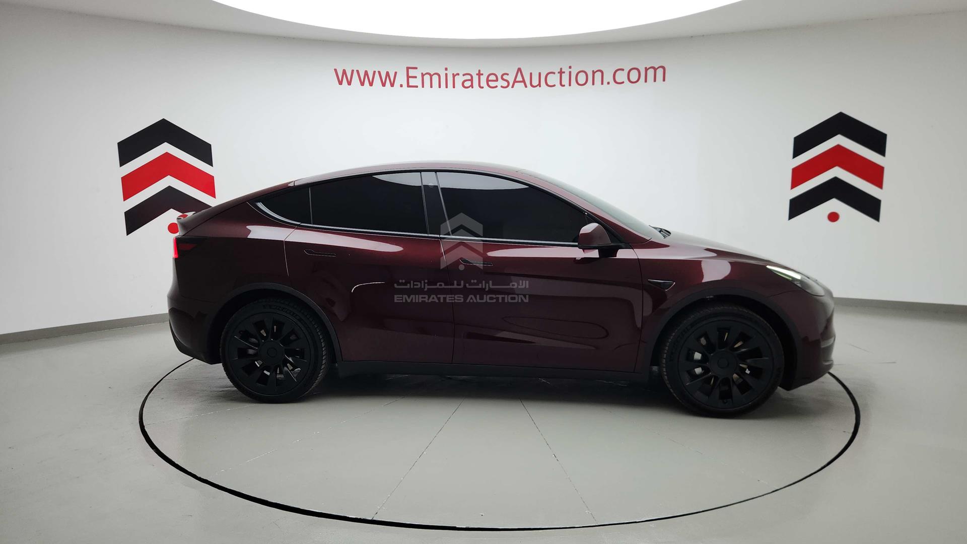 2023 TESLA MODEL Y VIN: XP7YGCEK6PB171355