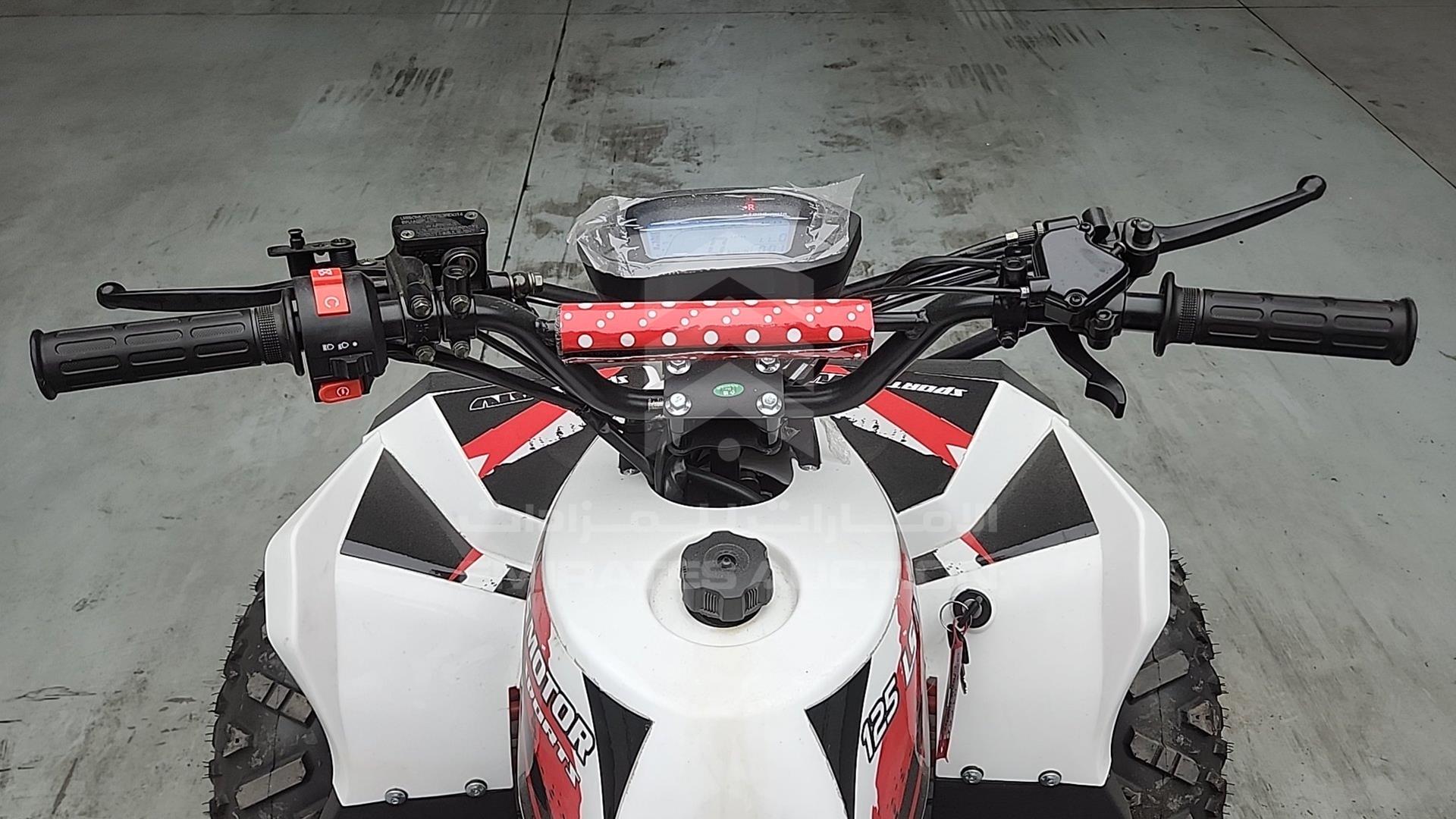 2025 ATV --- VIN: LSA708R2024100075