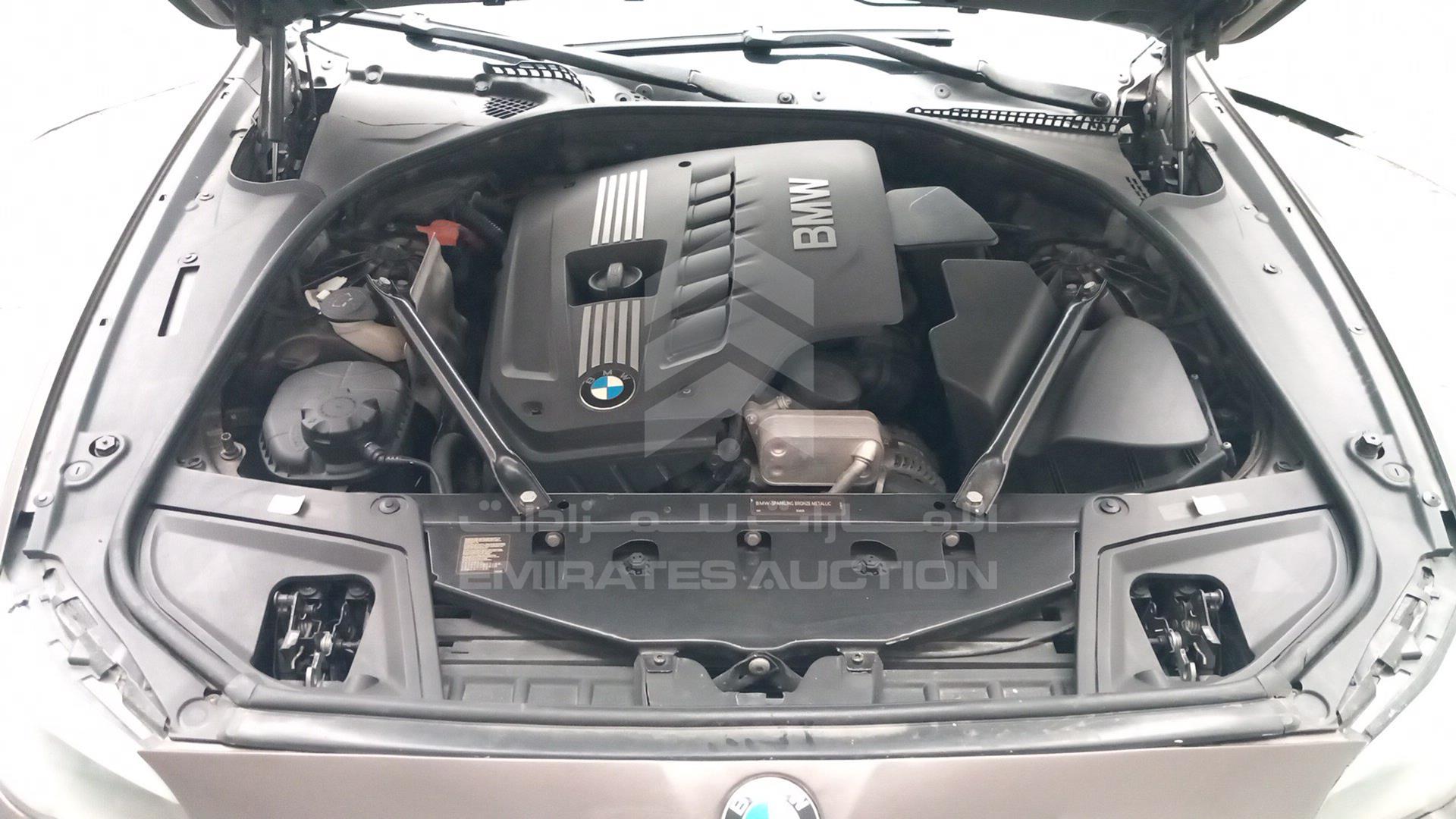 2013 BMW 530 VIN: WBACU5102DSF10485