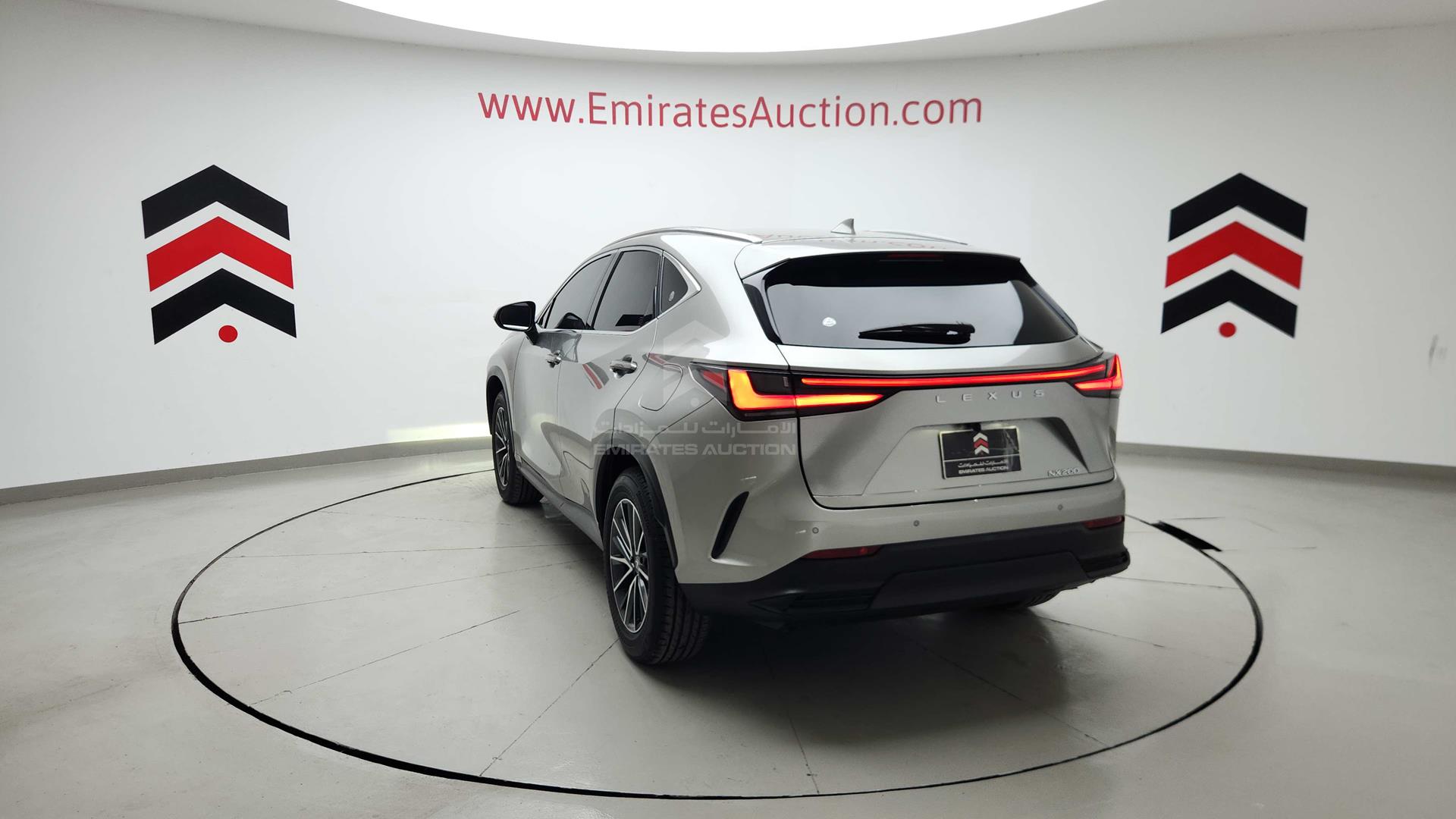 2023 LEXUS NX200T VIN: JTJCFBAZ602011042