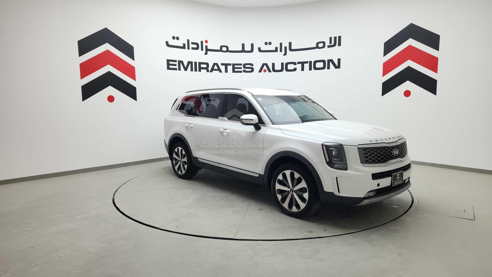 2020 KIA TELLURIDE VIN: 5XXP281CXLG081463