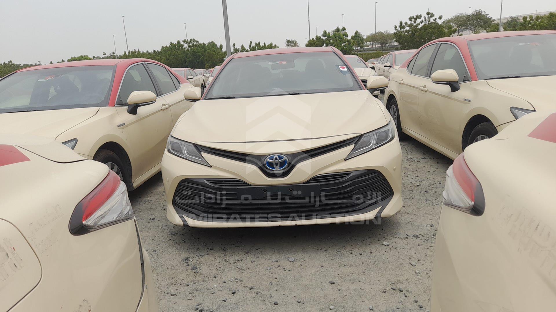2019 TOYOTA CAMRY VIN: JTNB29HK2K3014492