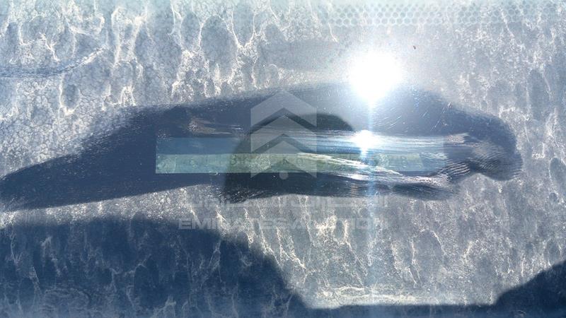 6T1BE42K8BX744228 Auction: EmiratesAuction Lot: 408520 6T1BE42K8BX744228 Toyota Camry 2011 WHITE Photo 6