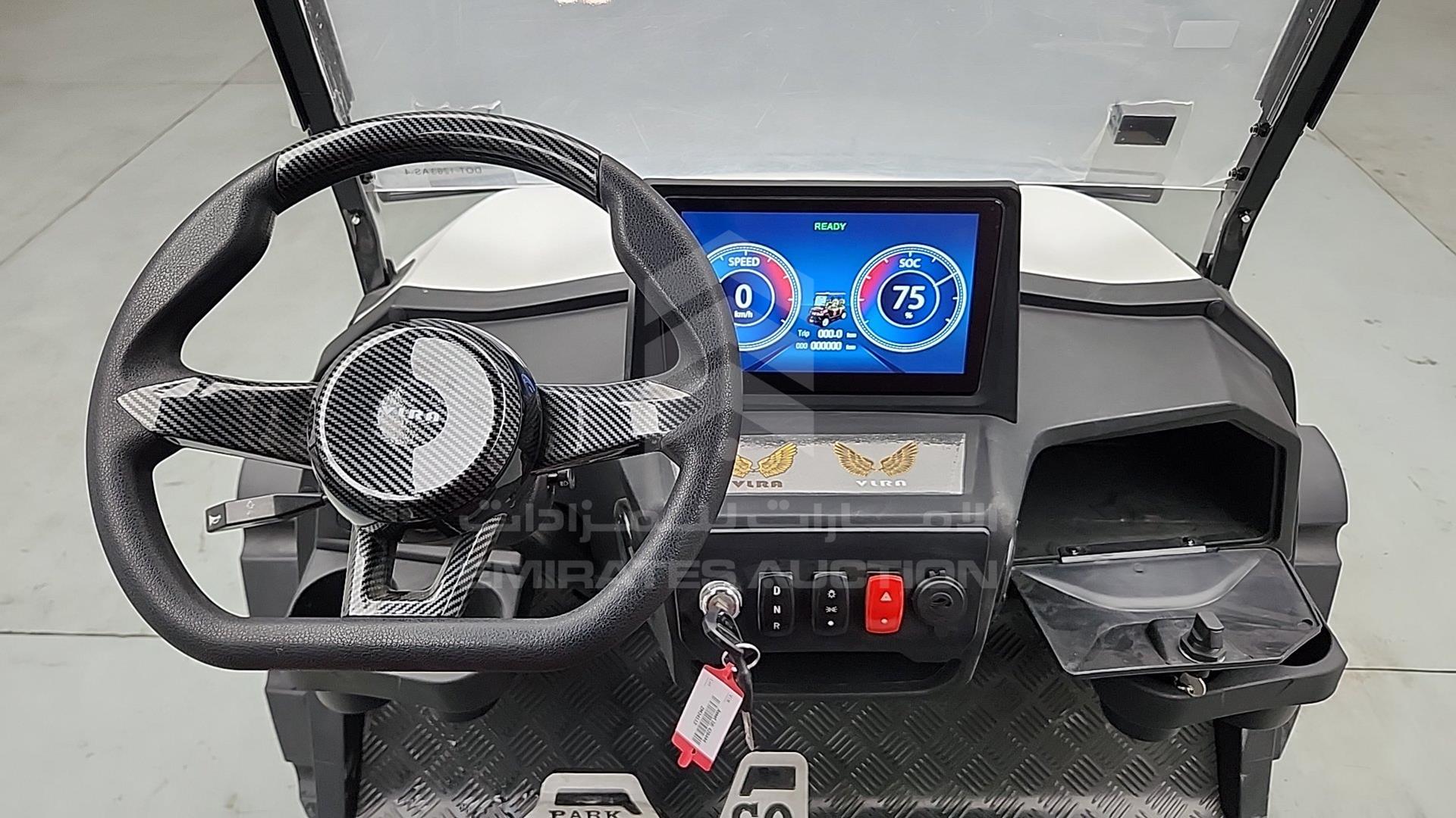 2025 GOLF CART ELECTRIC VIN: ZM24113