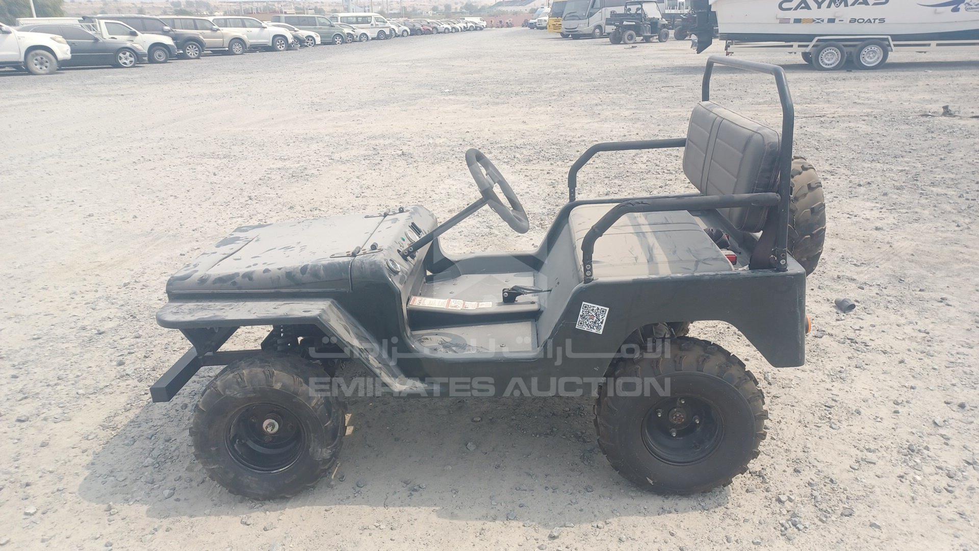 0 BUGGY --- VIN: LQBAJFGH6GI005305