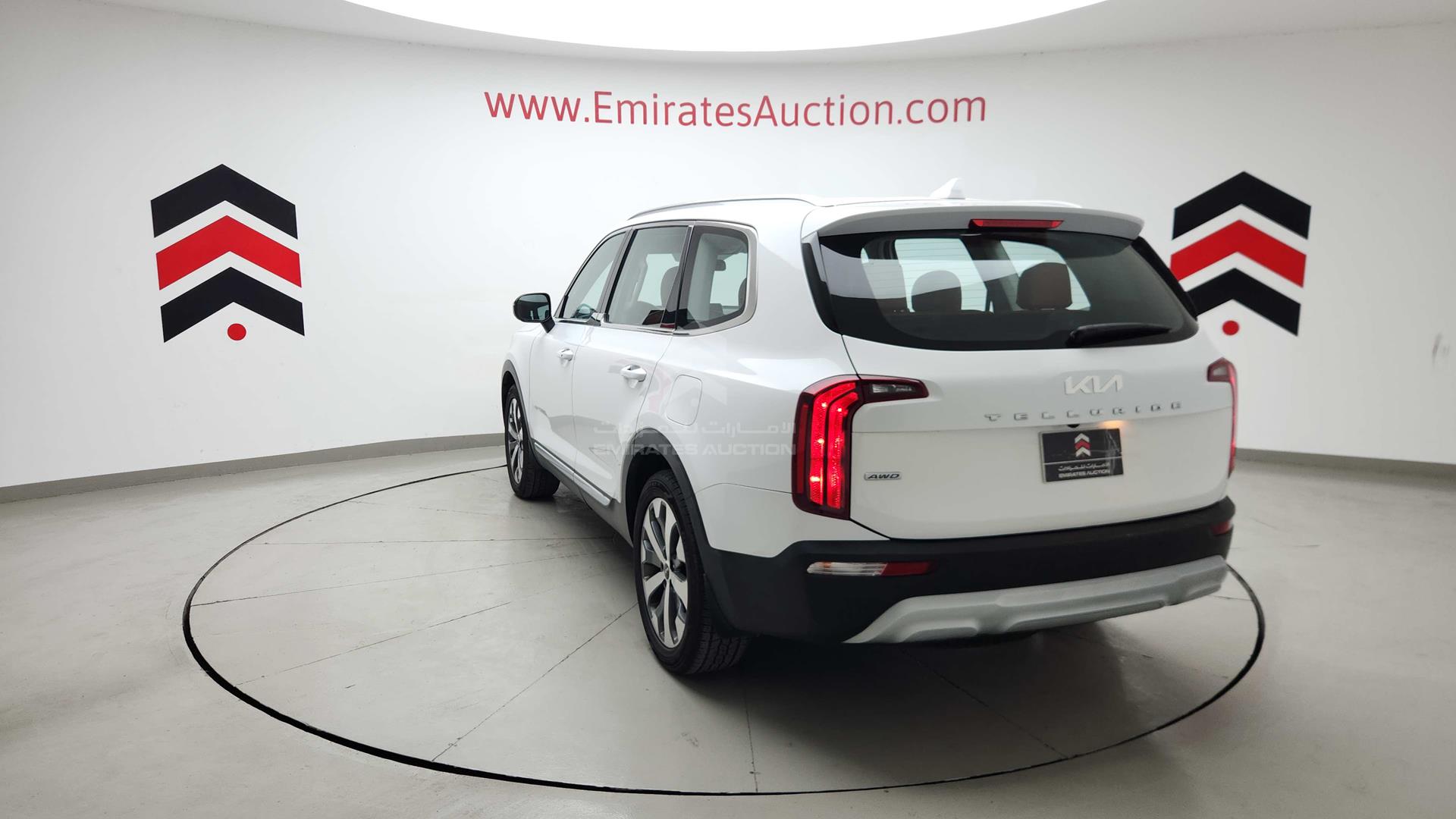2022 KIA TELLURIDE VIN: 5XXP281C8NG281938