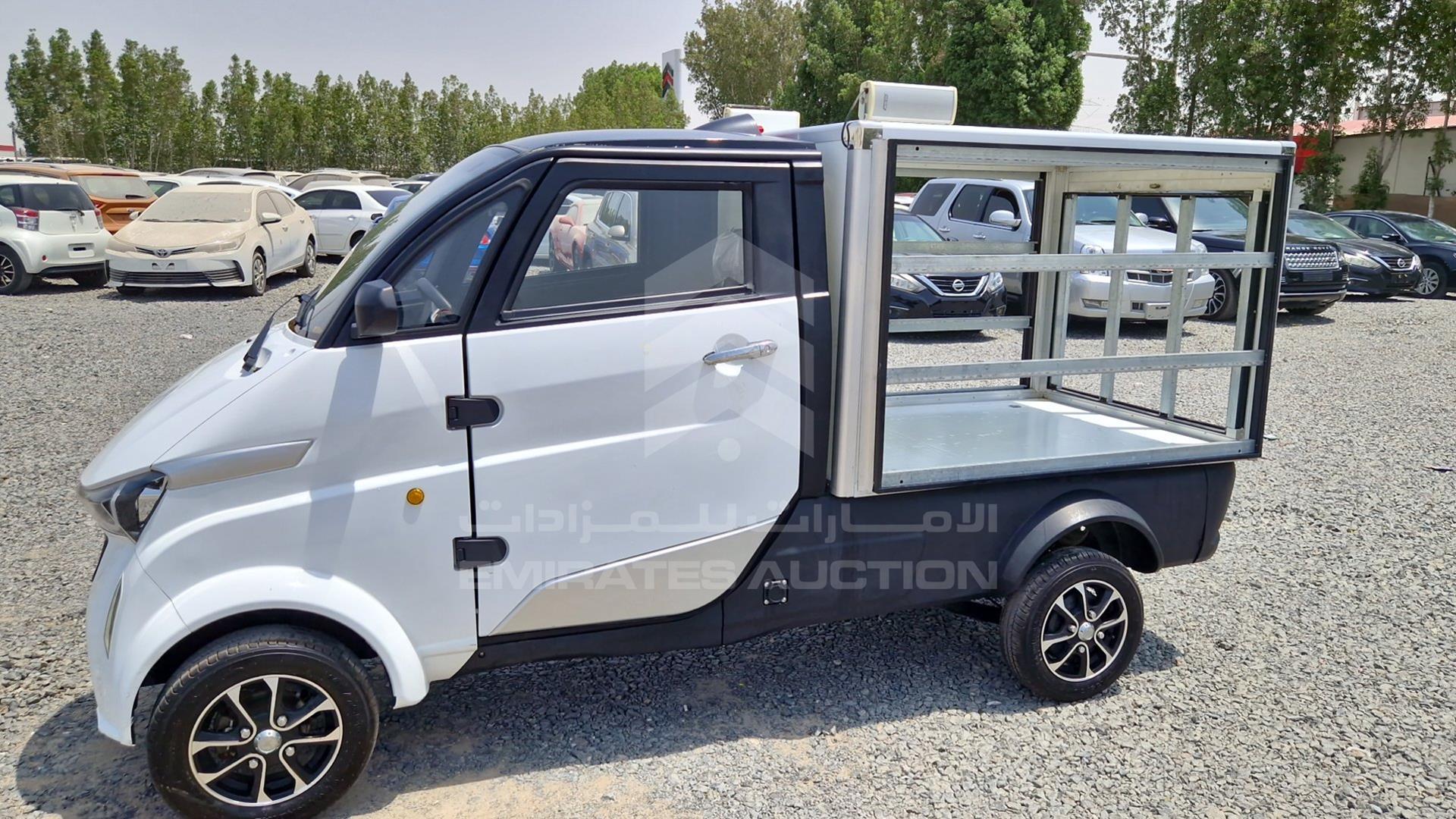 0 RUNHORSE ELECTRIC TRUCK VIN: R3W8AZKU9NA000030