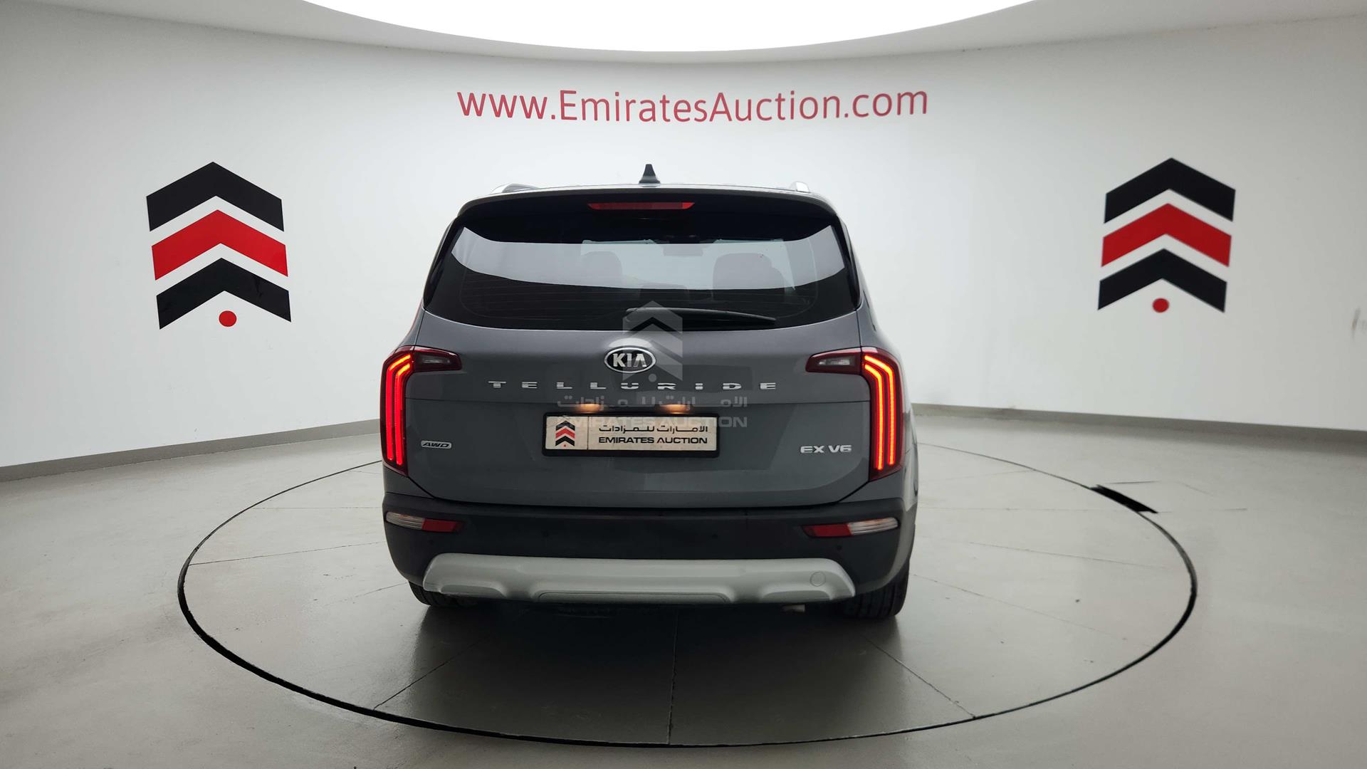 2020 KIA TELLURIDE VIN: 5XXP381C2LG047840