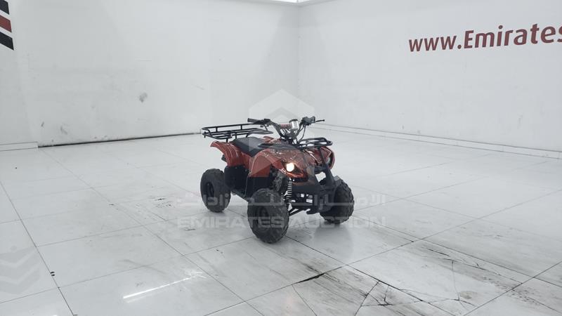 1SA713A2019608318 Auction: EmiratesAuction Lot: 409808 1SA713A2019608318 Buggy 0 ANTIQUE WHITE Photo 9