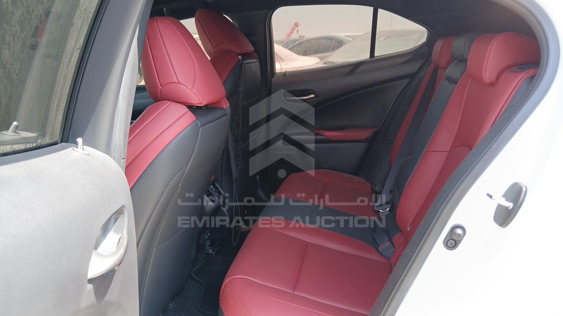 2019 LEXUS UX 200 VIN: JTHY35BH9K2013393