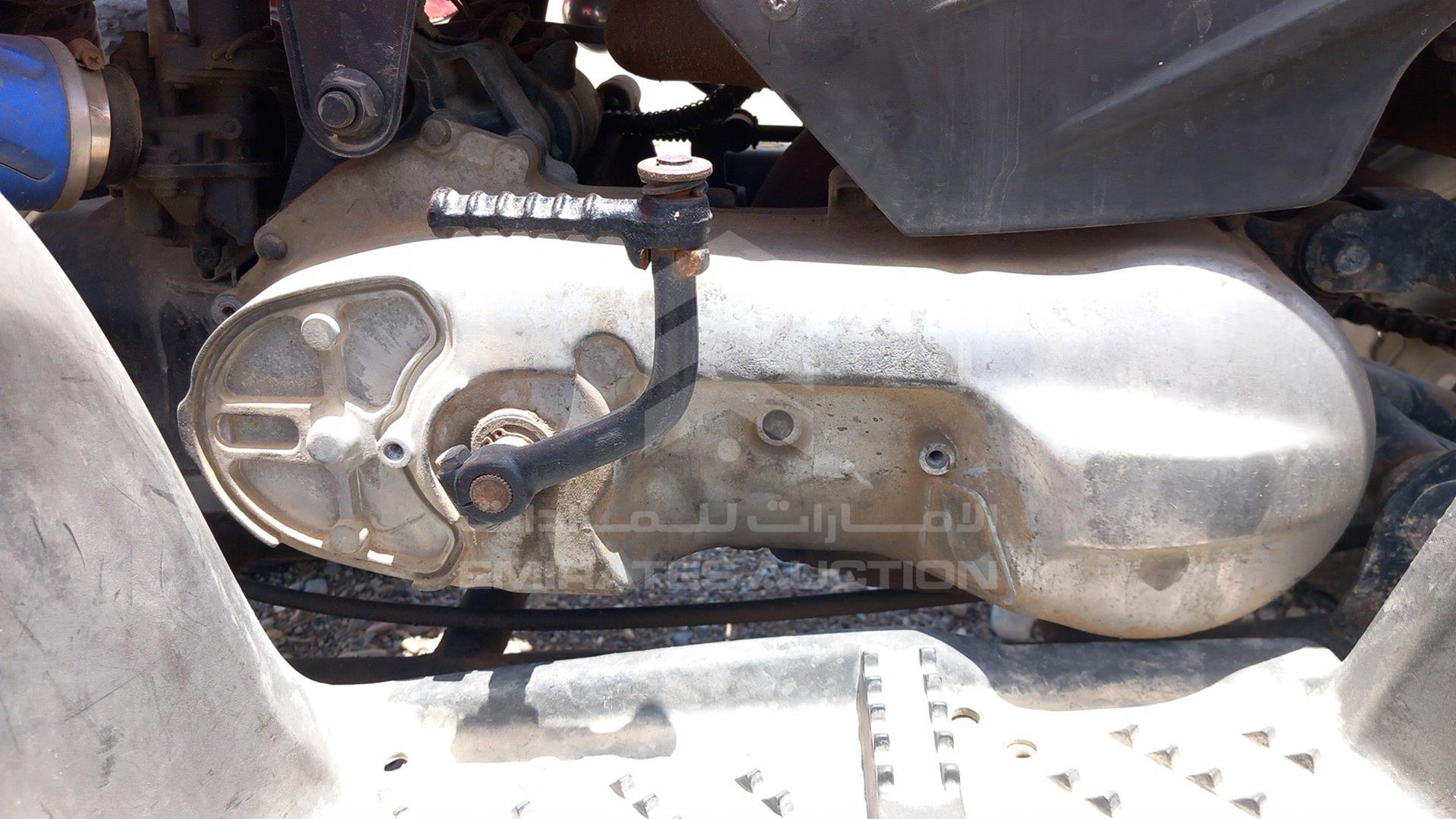 0 ATV --- VIN: RGEDN10A37A000035