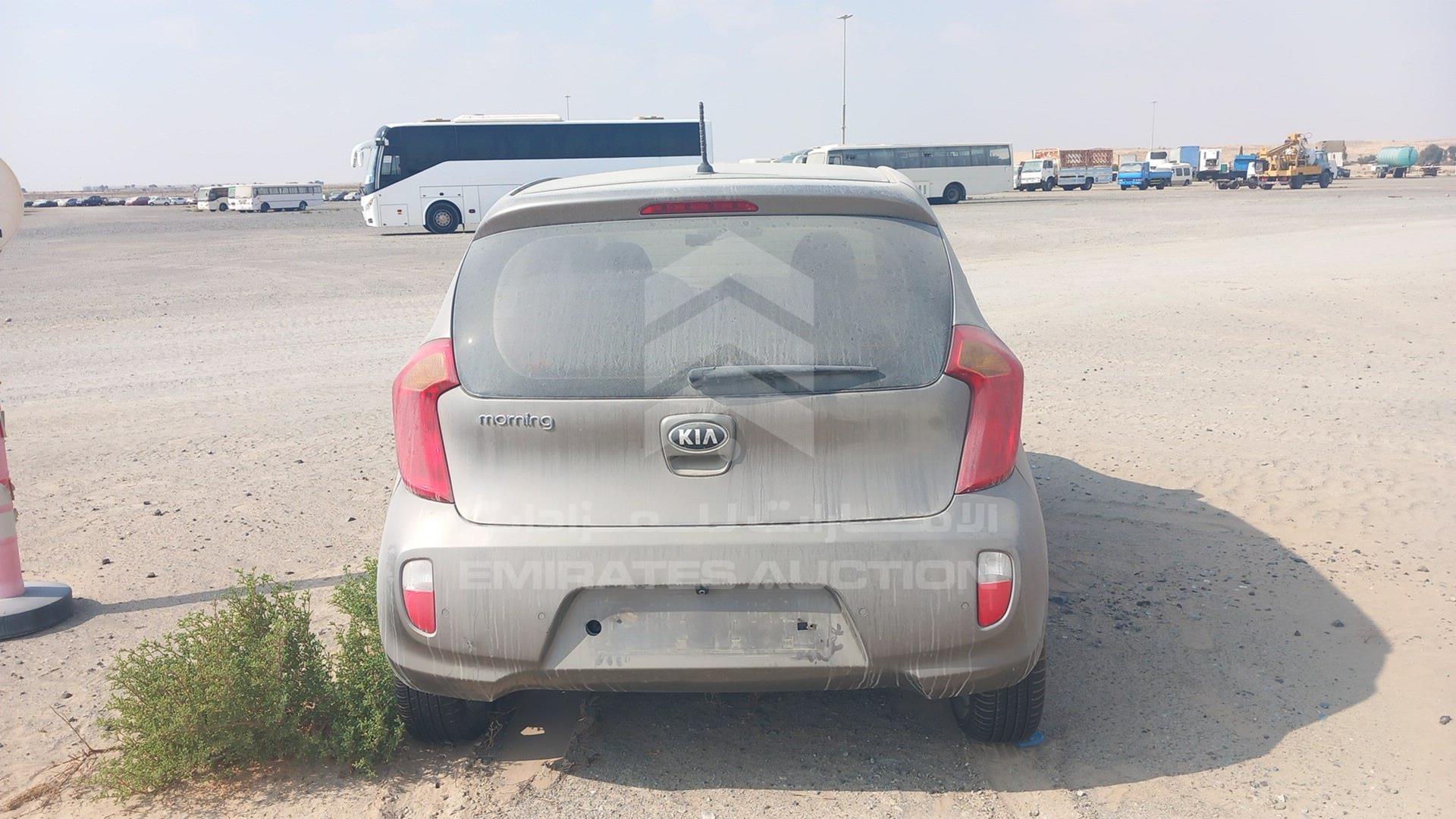 2013 KIA PICANTO VIN: KNABX511BDT438001