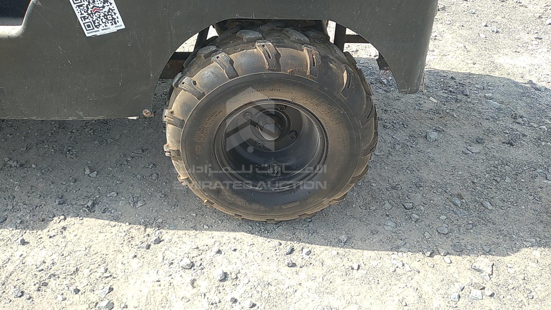 0 BUGGY --- VIN: Z42ABC63450631