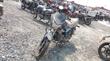 هوندا  - يوني كورن 2009<br> AED 100
