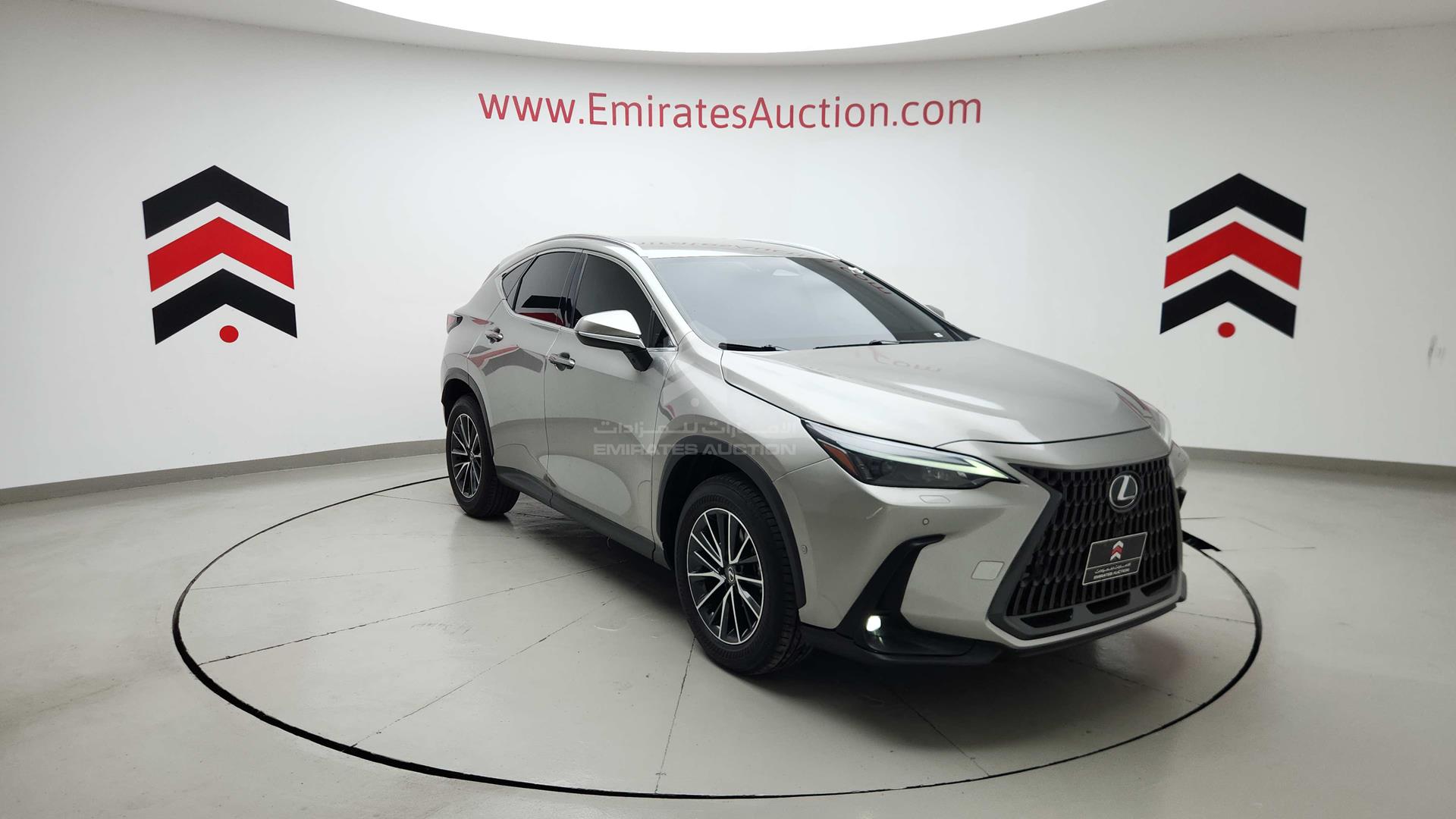 2023 LEXUS NX200T VIN: JTJCFBAZ602011042