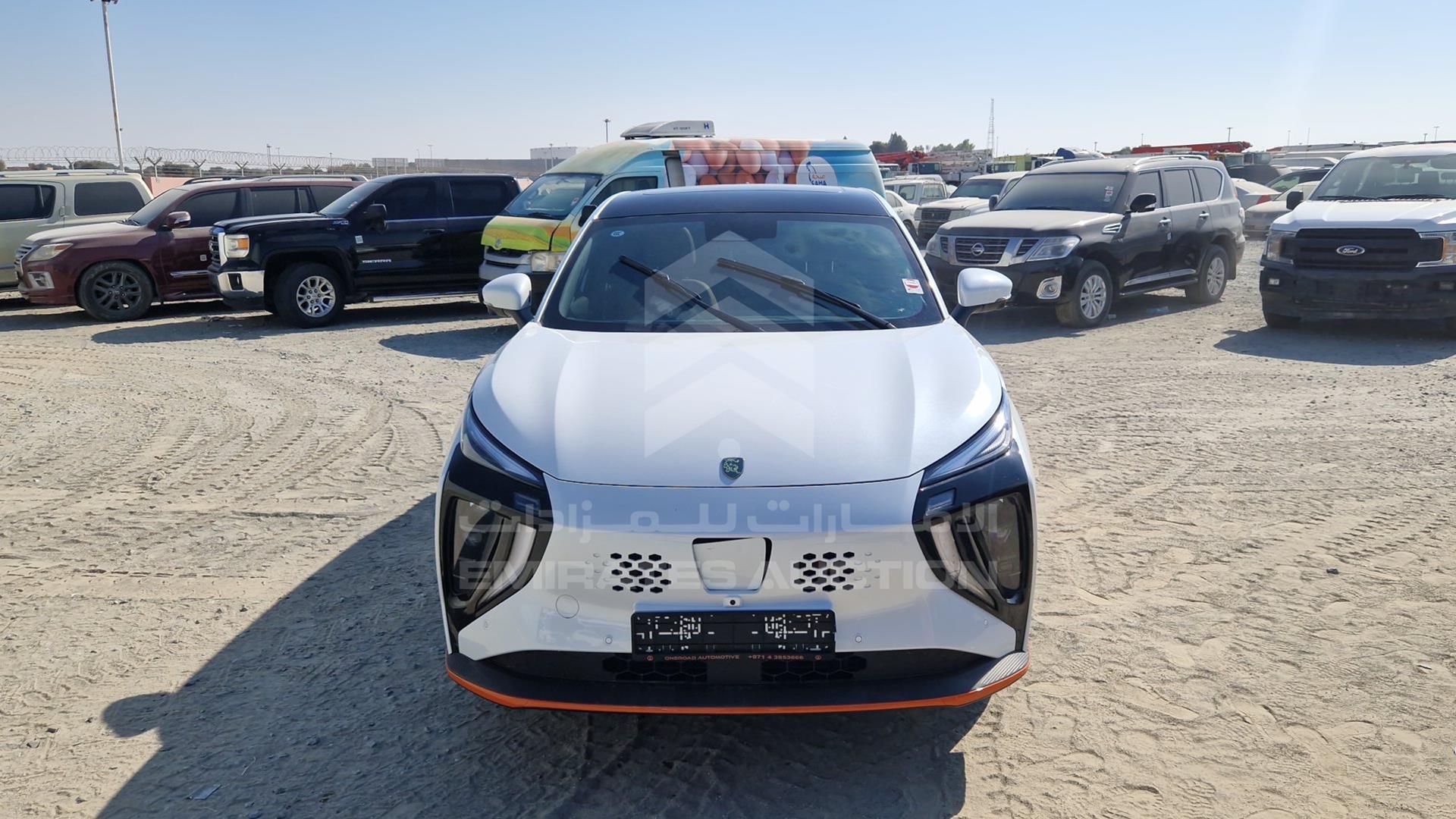 2024 DONG FENG FORTHING T5 VIN: LMXD14BJXRZ382049