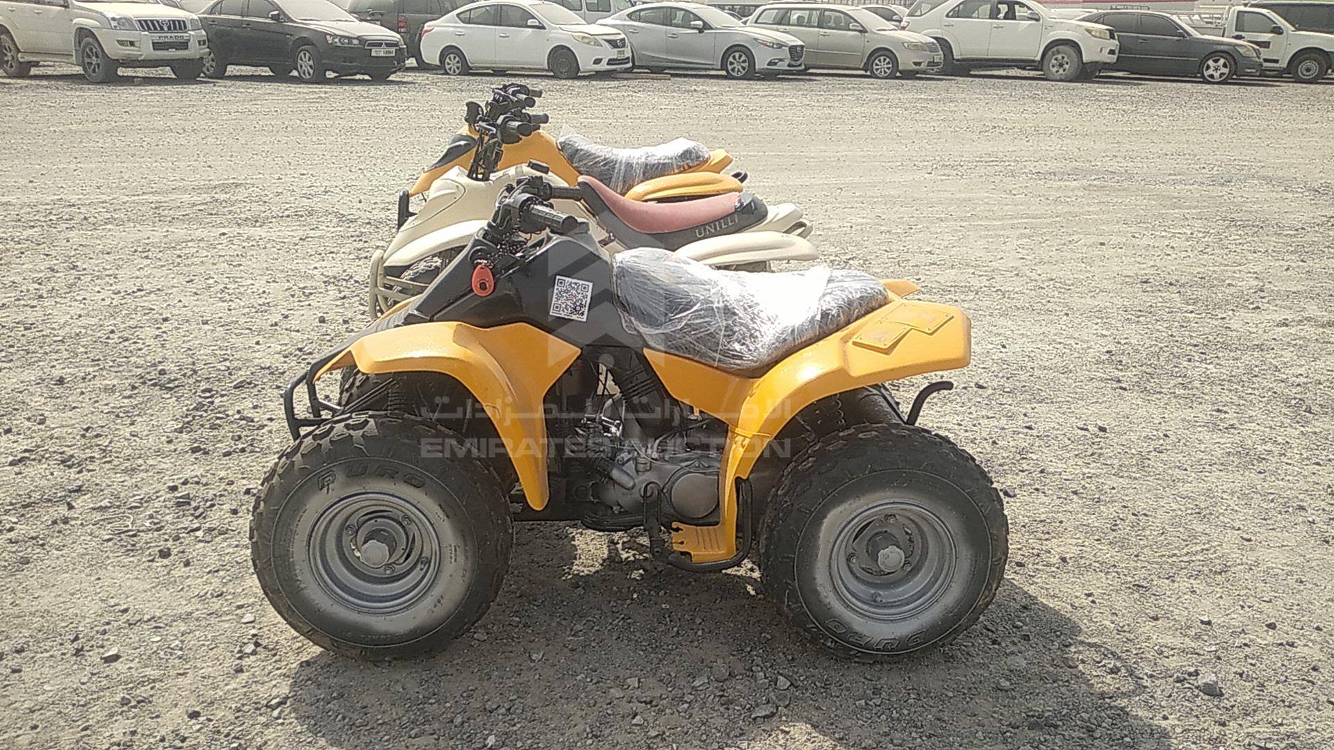 0 BUGGY --- VIN: C113541161