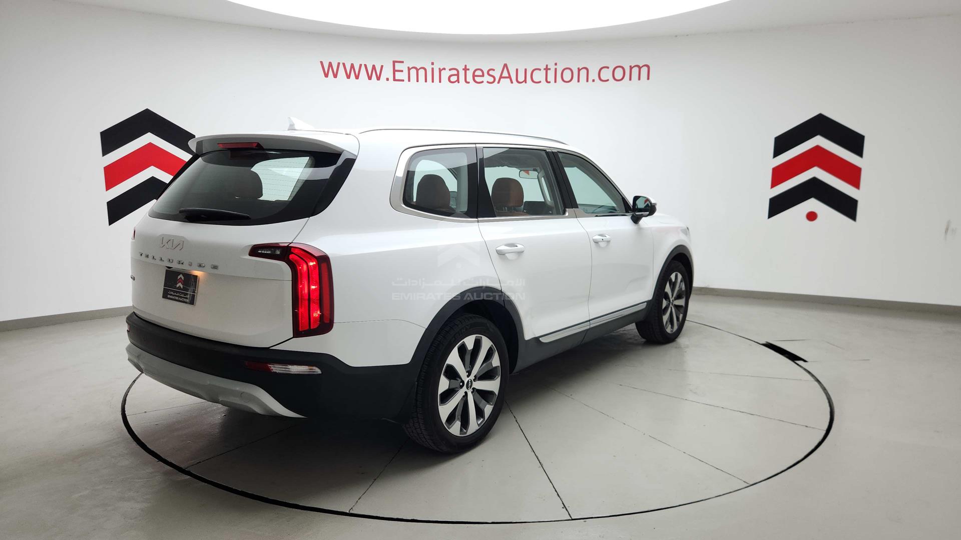 2022 KIA TELLURIDE VIN: 5XXP281C8NG281938