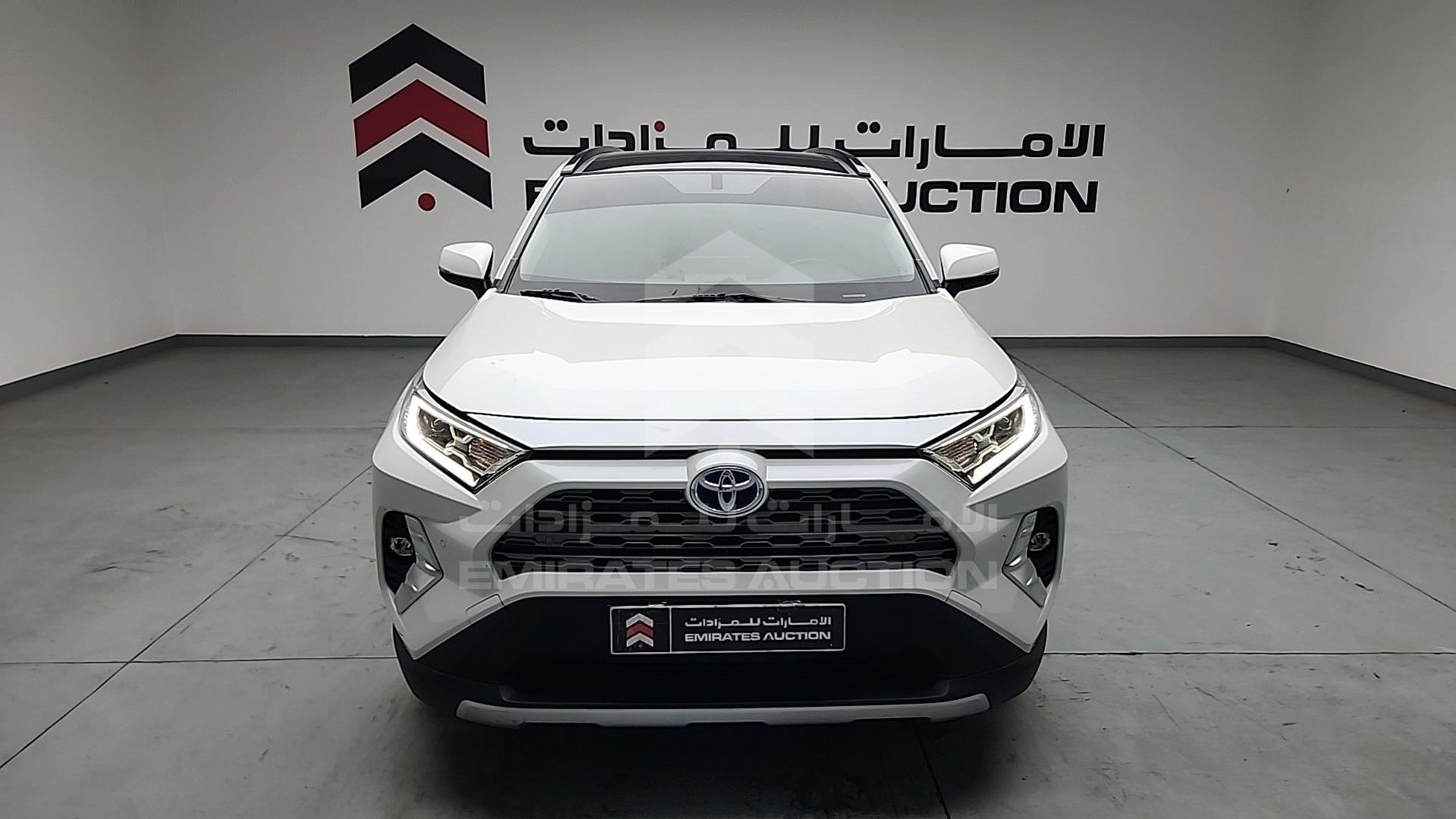 2019 TOYOTA RAV-4 VIN: JTMDW3FV6KD516671
