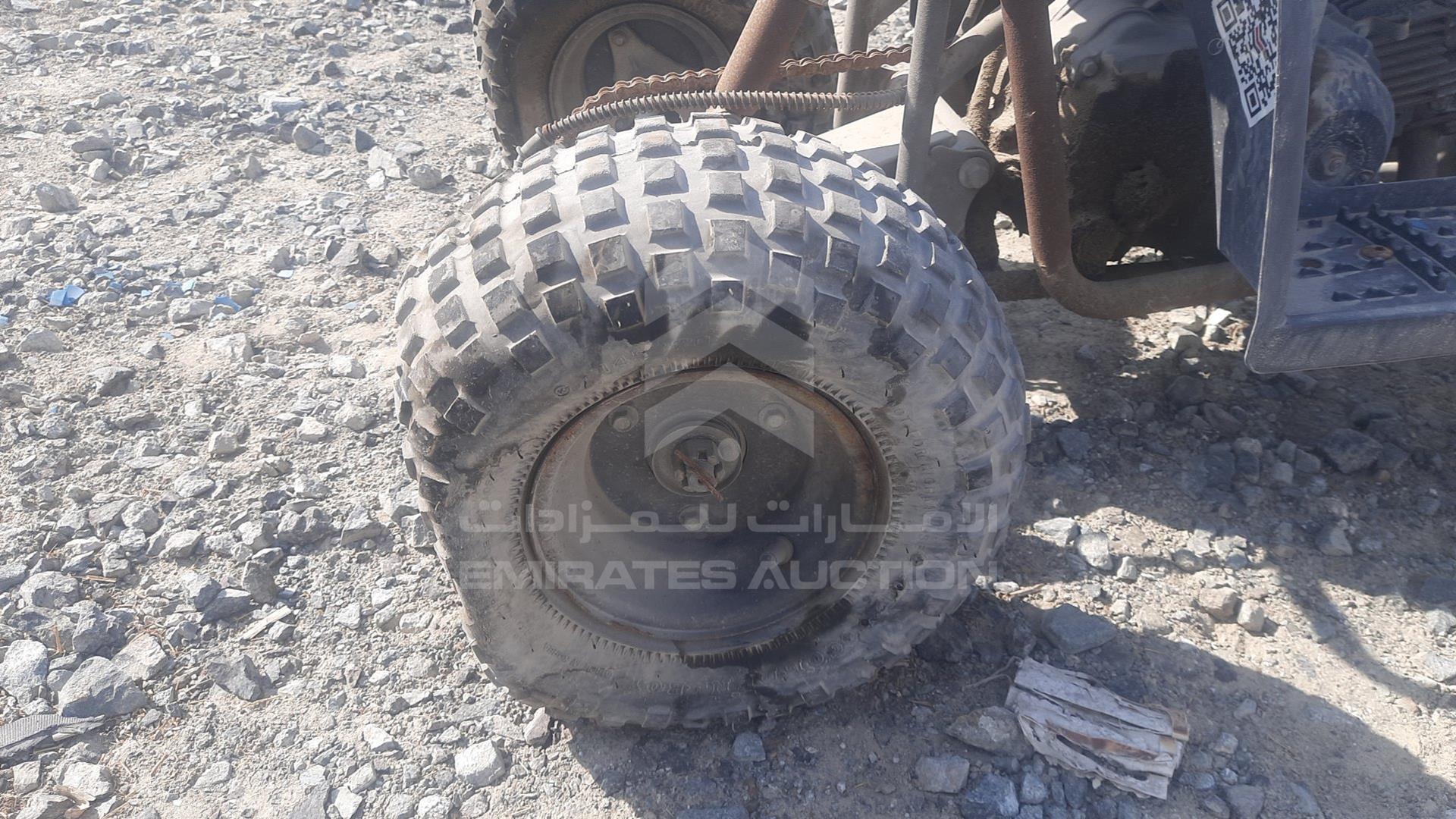 0 ATV --- VIN: LSA702201G1215333
