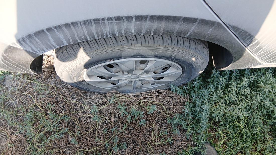 2023 Kia Pegas - Scrap without document — Rear Right Tyre — Photo 15