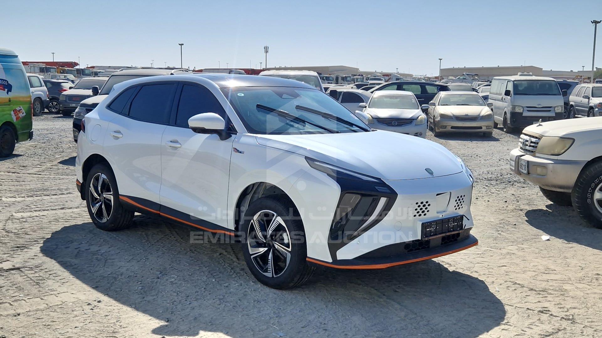 2024 DONG FENG FORTHING T5 VIN: LMXD14BJXRZ382049