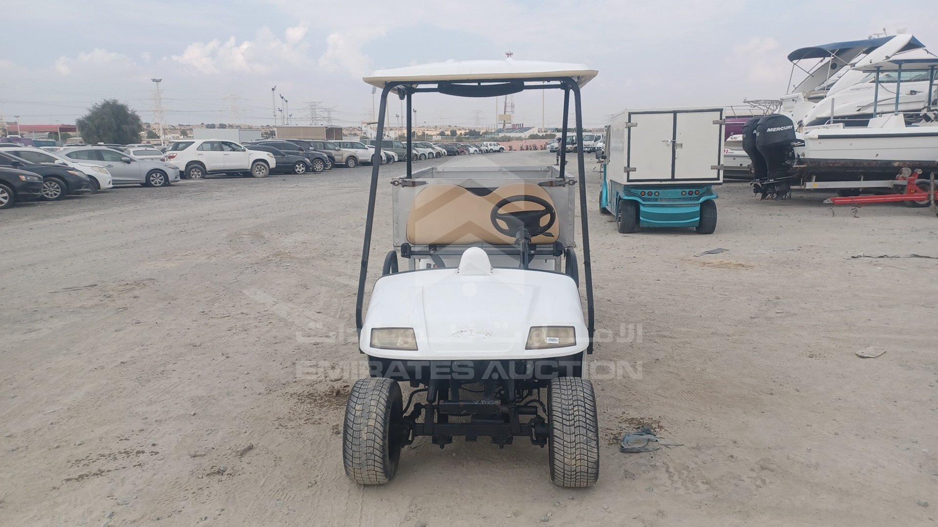 0 GOLF CART ELECTRIC VIN: P017C3802X501732