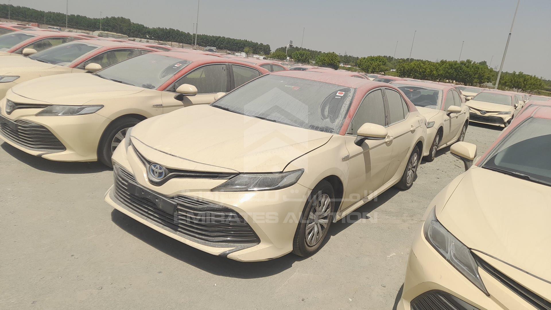 2019 TOYOTA CAMRY VIN: JTNB29HK5K3035546