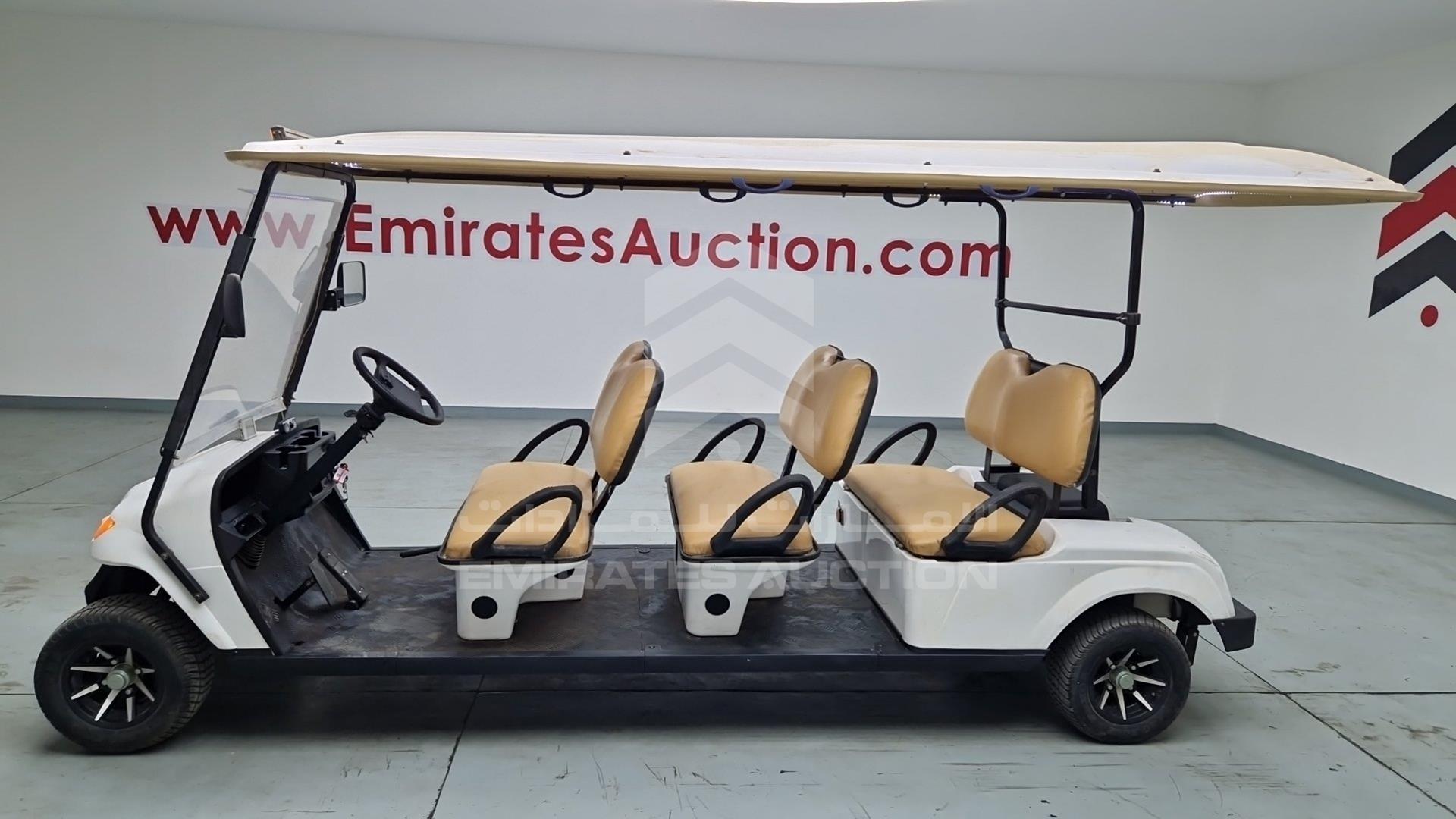 2019 GOLF CART ELECTRIC VIN: L4F25A9K5K0060023