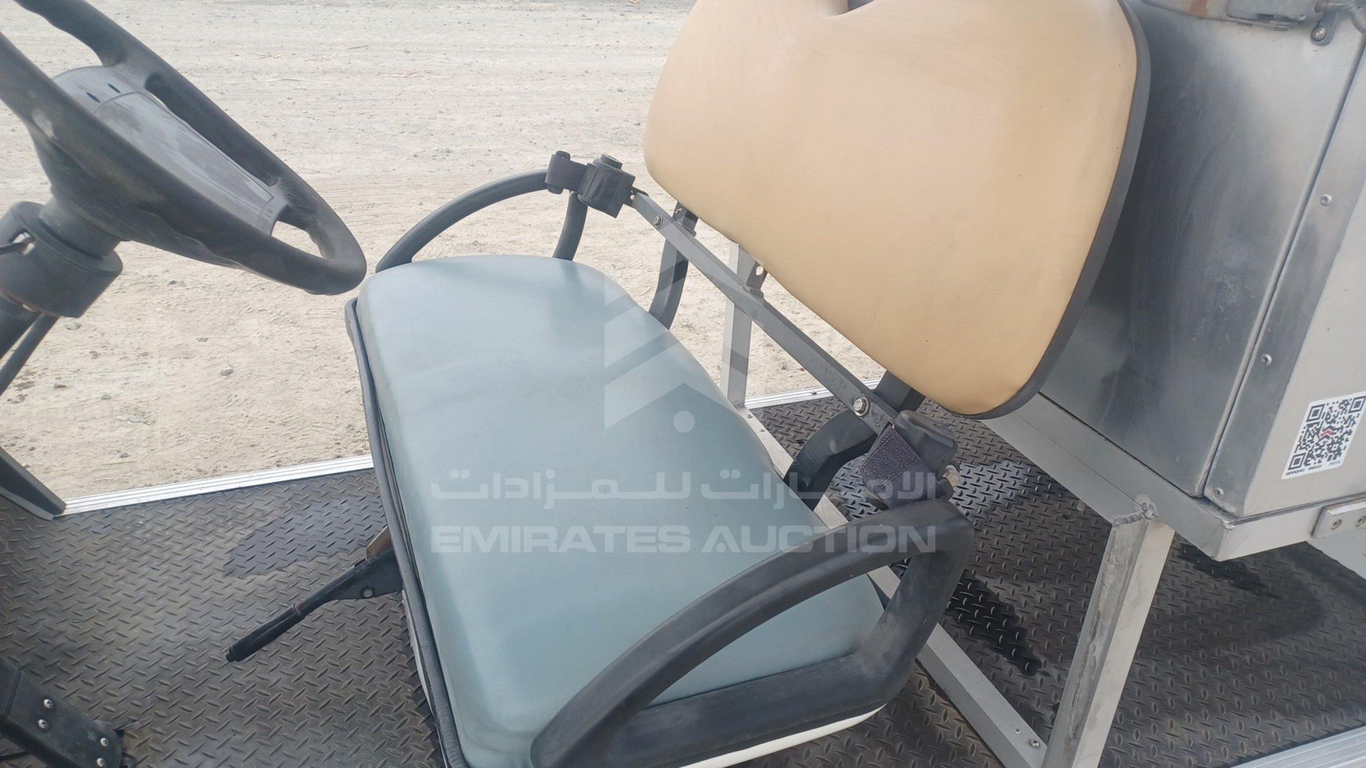 0 GOLF CART ELECTRIC VIN: P017C3802X501732