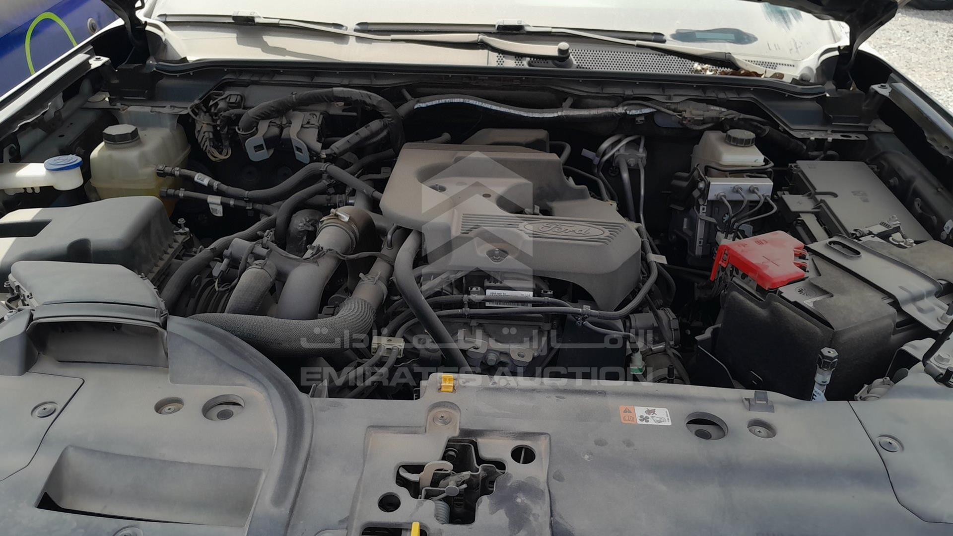 2024 FORD EVEREST VIN: MNCXW5RN9RAT43527