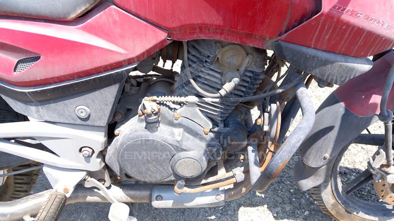 MD2DHJCZZRCB10481 Auction: EmiratesAuction Lot: 406777 MD2DHJCZZRCB10481 Bajaj Pulsar 200 CC 2008 RED Photo 15