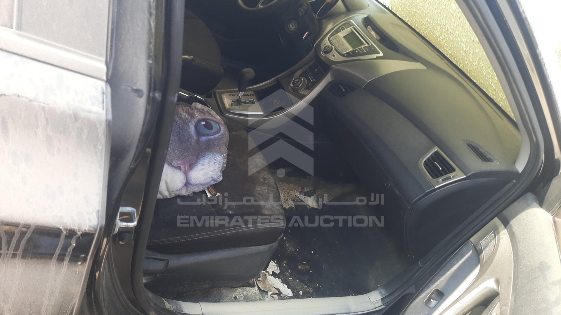 2013 HYUNDAI ELANTRA VIN: KMHDG41E9DU717098