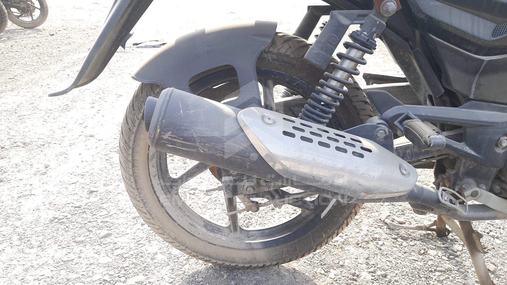 2019 BAJAJ 150 CC VIN: MD2A11CY0KCH55902