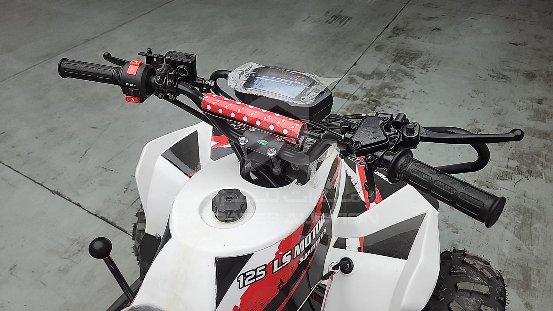 2025 ATV --- VIN: LSA708R2024100075