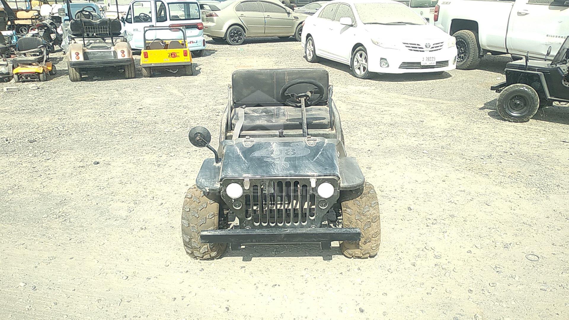 0 BUGGY --- VIN: Z42ABC63450631
