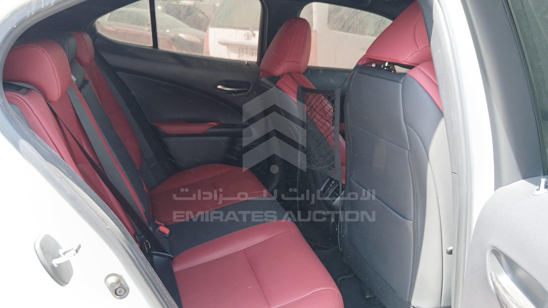 2019 LEXUS UX 200 VIN: JTHY35BH9K2013393