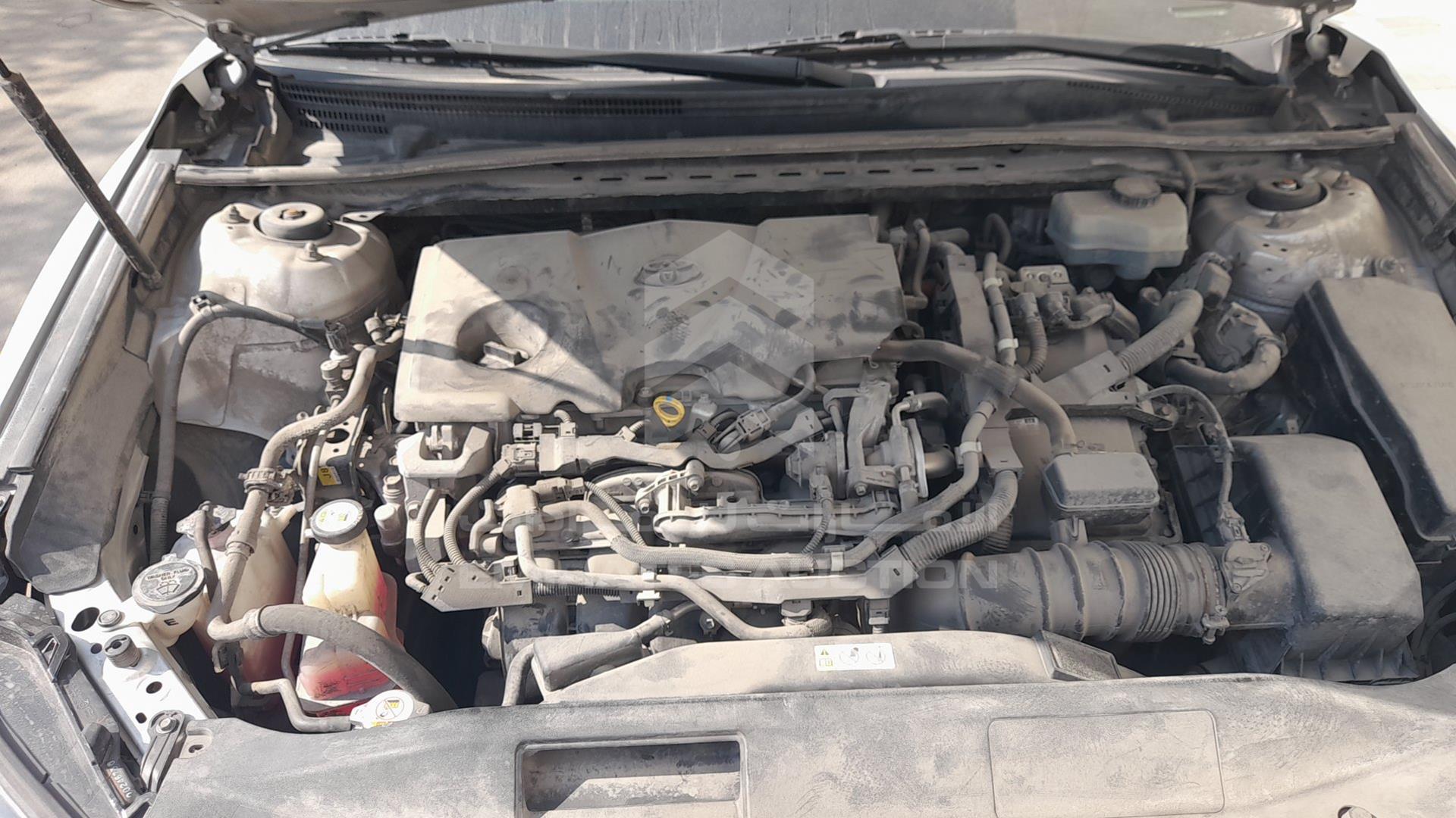 2019 TOYOTA CAMRY VIN: JTNB29HK0K3020128