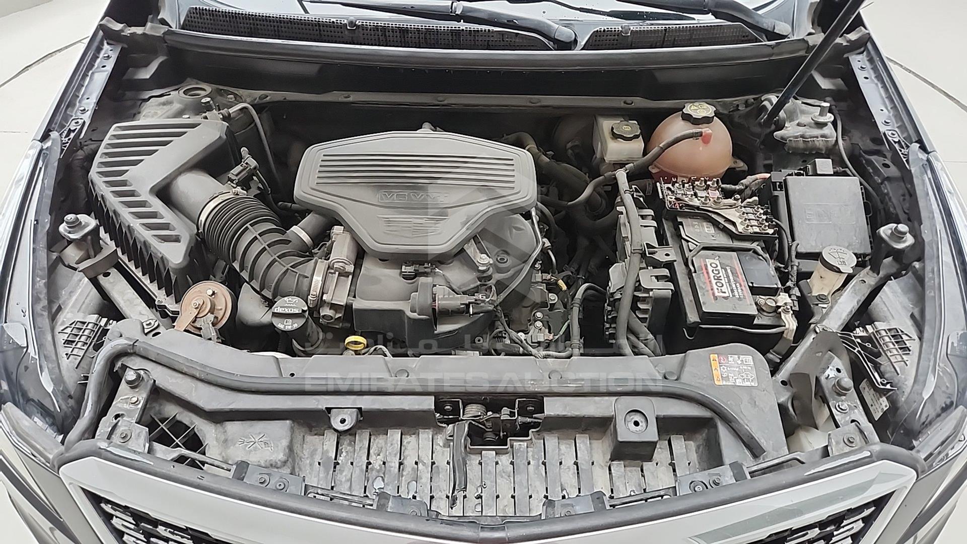 2021 CADILLAC XT 5 VIN: 1GYKNCRS7MZ137237