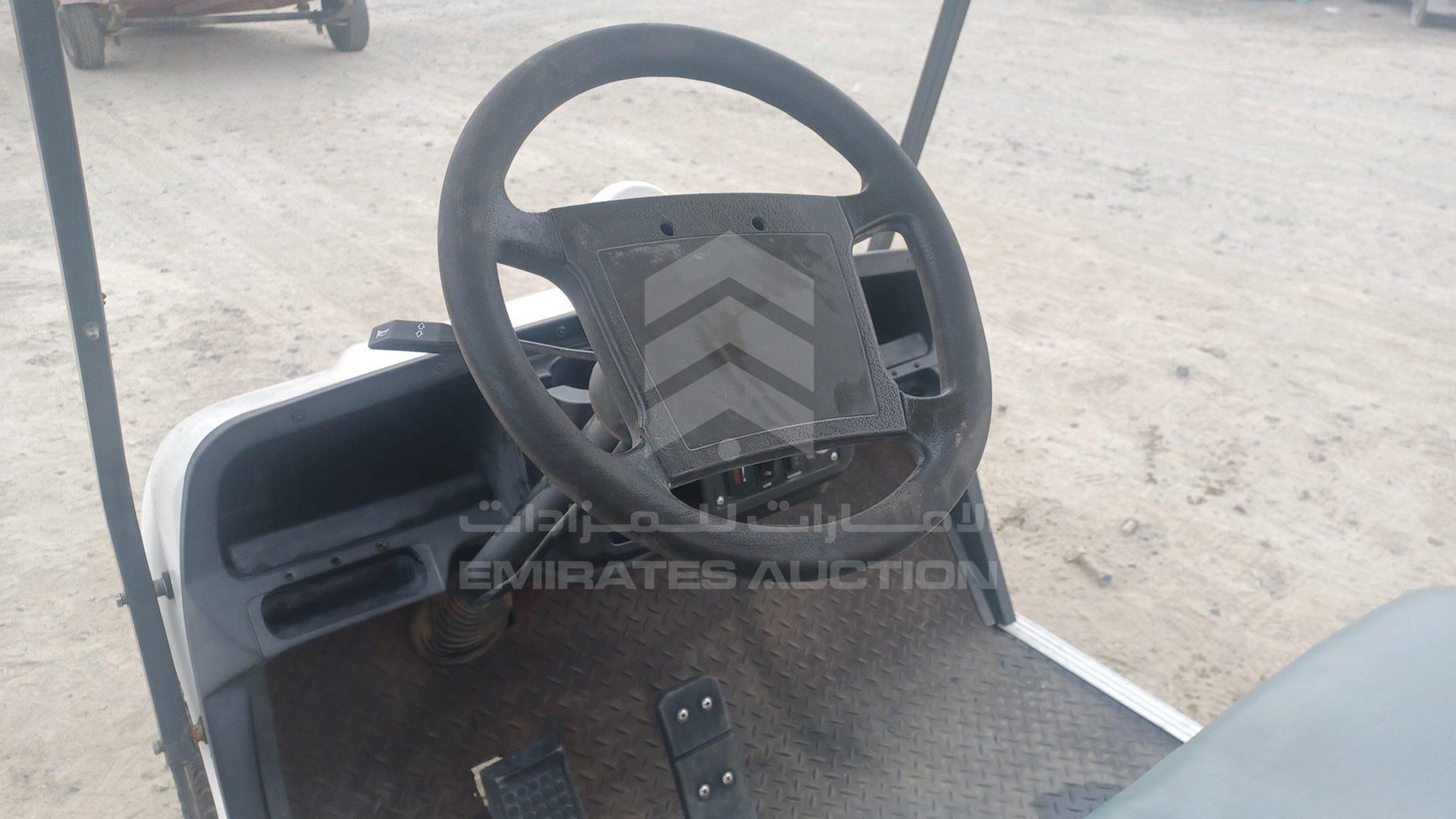 0 GOLF CART ELECTRIC VIN: P017C3802X501732