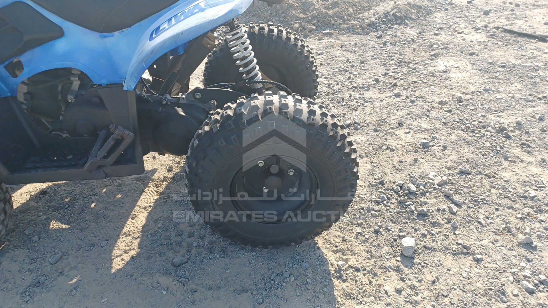 0 BUGGY --- VIN: LSA702G2022030032